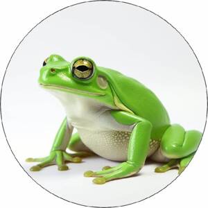 Zelená žaba z jedlého papiera 19,5 cm - Pictu Hap