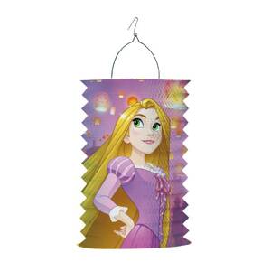Princezna Locika Rapunzel