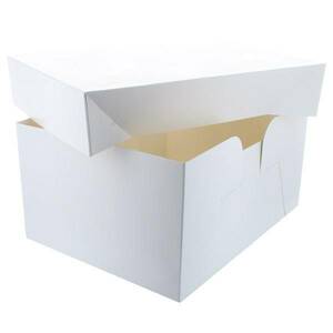 Krabice bez tisku, 30,4x22,8 x15cm