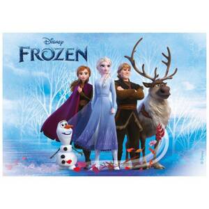 Fondánový papier Frozen 14,8x21 cm - Dekora
